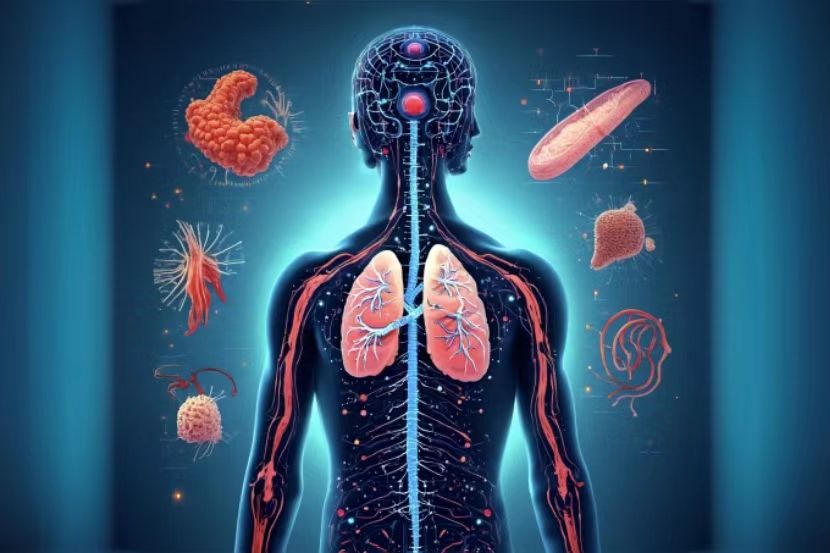 智啟呼吸：AI賦能的呼吸系統(tǒng)教學(xué)革新