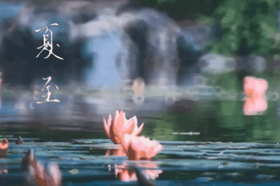 夏至來(lái)信 | 請(qǐng)查收一塘荷風(fēng)